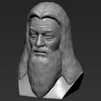14.jpg Dumbledore from Harry Potter bust for full color 3D printing