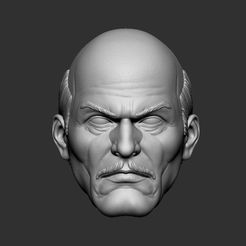 1.jpg Fichier STL Alfred Pennyworth - Sculpture de tête pour figurines d'action・Objet imprimable en 3D à télécharger, salamanca3dp