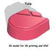 TULIP-STL-FILE-2.png Tulip Stl File