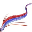 FG.jpg DOWNLOAD Hairtail DOWNLOAD FISH DINOSAUR DINOSAUR Hairtail FISH 3D MODEL ANIMATED - BLENDER - 3DS MAX - CINEMA 4D - FBX - MAYA - UNITY - UNREAL - OBJ -  Hairtail FISH DINOSAUR