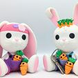 InShot_20240205_175512396.jpg Bunny Brothers, cute baby rabbits and their articulated carrot keychain