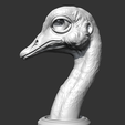 06.png Ostrich Head AM31 3D print model