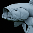 Bass-trophy-45.png Largemouth Bass / Micropterus salmoides fish in motion trophy statue detailed texture for 3d printing