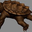 D01.jpg Alligator Snapping Turtle
