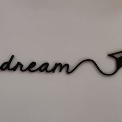 IMG_20230629_191425.jpg Wall Dream