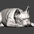 French-Bulldog11.jpg French Bulldog 3D print model