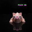Piglet-Chunky-3.jpg Flex 3D Piglet Chunky