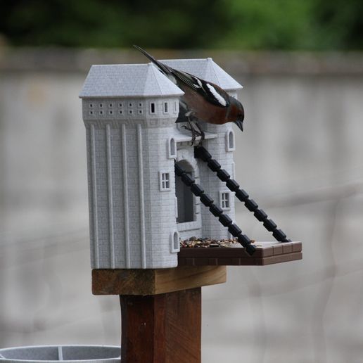 IMG_4079.jpg BIRD FEEDER & DRINKER & CUP
