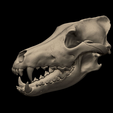 11.png Wolf Skull 3D Print Model