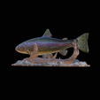 pstruh-klacky-1-4.png rainbow trout 2.0 underwater statue detailed texture for 3d printing