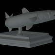 Barracuda-huba-trophy-19.png fish great barracuda statue detailed texture for 3d printing