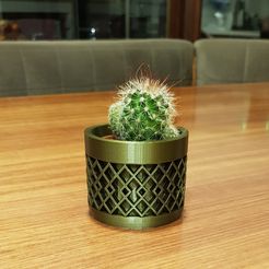 20200311_211757.jpg 3D-Datei FLOWER POT M3・Design zum Herunterladen und 3D-Drucken