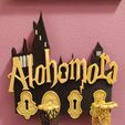 IMG_20210420_210908_295.jpg Harry Potter wall key holder Alohomora