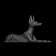 AnubisDog37.png Anubis dog