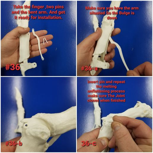 20200214_173414.jpg Bone Finger Updated