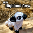 3.png Winzige Hochlandkuh