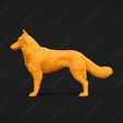 1730-Belgian_Shepherd_Dog_Tervueren_Pose_01.jpg Belgian Shepherd Dog Tervueren Dog 3D Print Model Pose 01