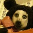 20230713_114349.jpg Teddybear creppypasta