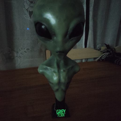 IMG_20220312_002527.jpg GREY ALIEN BUST MODEL