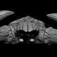 08.jpg 3D PRINTABLE MYTHOSAUR SKULL  HORNS AND SORGAN FROG THE MANDALORIAN