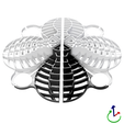PARCHIS-03-WEB.png 3D file 3D PARCHIS・3D printing model to download