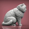 Exotic-Shorthair-Snoopy4.jpg Exotic Shorthair Snoopy cat 3D print model