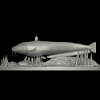 sumec-2-9.png catfish / Siluriformes / sumec velký underwater statue detailed texture for 3d printing