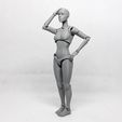 002.jpg Lady Figure the 3D printed female action figure