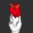 B95EB56A-7B7C-4441-95E8-C17F8B7D838A.jpeg Artwork Corazón sostenida con una mano / Artwork of a Heart Held in a Hand