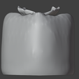 3.png Anatomical 3D Model of a Realistic Female Vagina - STL for 3D Printing