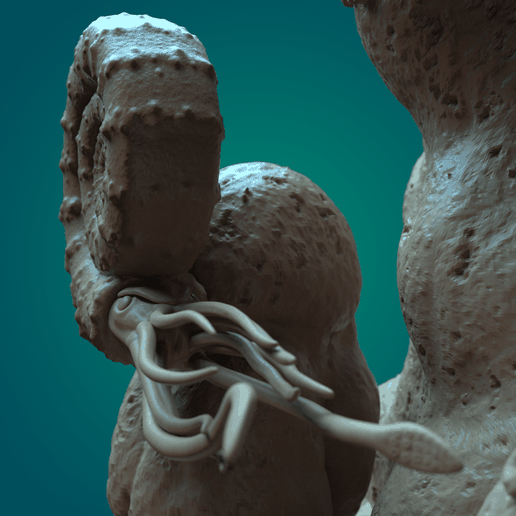 Ophthalmosaurus env.08-min.png Офтальмозавр в окружающей среде