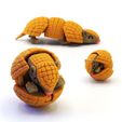 1-DSC02049.jpg Articulated Armadillo