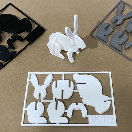 IMG_E9959.jpg Bunny Kit Card