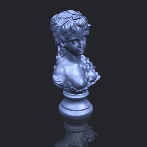 12_Bust_of_Venus_80mmB00-1.png Free 3D file Bust of Venus・3D print model to download, GeorgesNikkei
