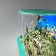 R7.jpg Aquarium