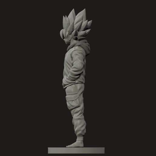 ZGrab06.jpg STREET GOKU