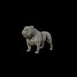 24.jpg Bulldog model 3D print model