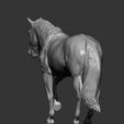 horse-3d-model-96b7208da1.jpg Horse 3D print model