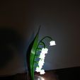 IMG_4643.JPG Free STL file Lily of the valley lamp・3D printer model to download