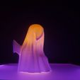 IMG_20230929_191946_652.jpg Realistic effect sheet ghost!