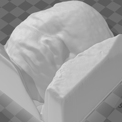 02.1.png STL file real baby fetus ultrassound・Design to download and 3D print