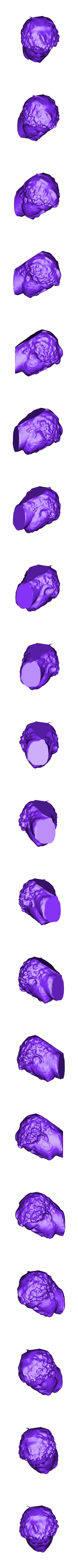 Portrait_of_Hadrian_Ready.stl Портрет императора Адриана, II век н.э.