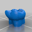 f7aac9602f827bafe4ae046ab65d26f4.png Free STL file dental partial dentures・3D printable design to download