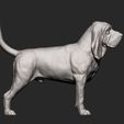 BLOODHOUND9.jpg 3D-Datei BLOODHOUND 3D-Druckmodell・Design für 3D-Drucker zum herunterladen