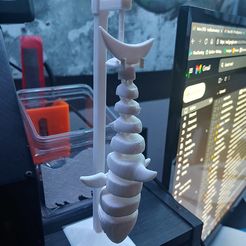 20210304_212204_HDR.jpg Free 3D file Articulated Shark Hanger・3D printing template to download