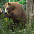 0_00008.png Bear DOWNLOAD Bear 3d model - animated for blender-fbx-unity-maya-unreal-c4d-3ds max - 3D printing Bear Bear