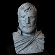 Beric08.RGB_color.jpg Beric Dondarrion from Game of thrones, 3d Printable Model, Bust, 200mm tall