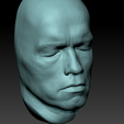 ArnoldLifecast9.png 3D-сканированное изображение головы Арнольда Шварценеггера Lifecast Head (Терминатор, T800, Хищник, Конан-варвар, Коммандос, Полный отзыв, Правдивая ложь, Бегущий человек)