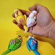WhatsApp-Image-2025-04-05-at-6.02.05-PM-2.jpeg Parakeet or Australian Parakeet articulated