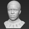 2.jpg Chad Boseman Black Panther bust 3D printing ready stl obj formats
